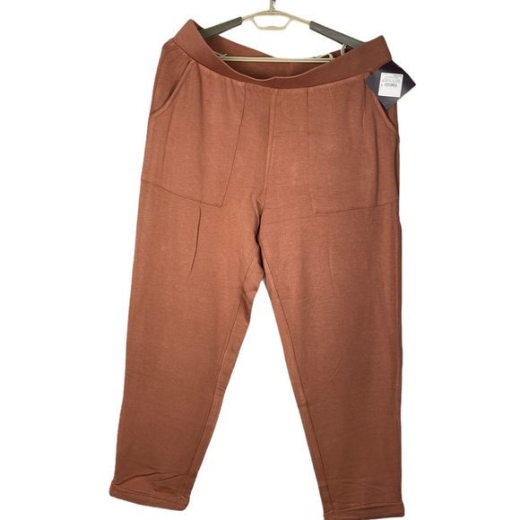 Ava & Viv Soft Stretch Fleece Lined Pants Size 1X - Picture 3 of 8